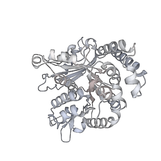 35823_8iyj_RE_v1-0
Cryo-EM structure of the 48-nm repeat doublet microtubule from mouse sperm