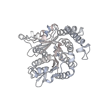 35823_8iyj_RF_v1-0
Cryo-EM structure of the 48-nm repeat doublet microtubule from mouse sperm