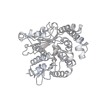 35823_8iyj_RG_v1-0
Cryo-EM structure of the 48-nm repeat doublet microtubule from mouse sperm