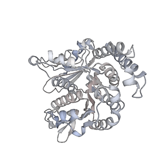 35823_8iyj_RH_v1-0
Cryo-EM structure of the 48-nm repeat doublet microtubule from mouse sperm