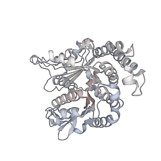 35823_8iyj_RJ_v1-0
Cryo-EM structure of the 48-nm repeat doublet microtubule from mouse sperm
