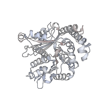 35823_8iyj_RK_v1-0
Cryo-EM structure of the 48-nm repeat doublet microtubule from mouse sperm