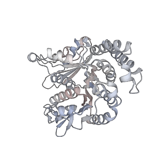 35823_8iyj_RL_v1-0
Cryo-EM structure of the 48-nm repeat doublet microtubule from mouse sperm