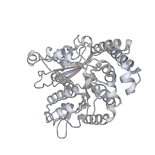 35823_8iyj_RM_v1-0
Cryo-EM structure of the 48-nm repeat doublet microtubule from mouse sperm