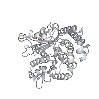 35823_8iyj_RO_v1-0
Cryo-EM structure of the 48-nm repeat doublet microtubule from mouse sperm