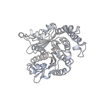 35823_8iyj_RP_v1-0
Cryo-EM structure of the 48-nm repeat doublet microtubule from mouse sperm