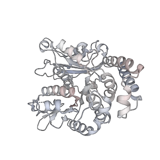 35823_8iyj_SA_v1-0
Cryo-EM structure of the 48-nm repeat doublet microtubule from mouse sperm
