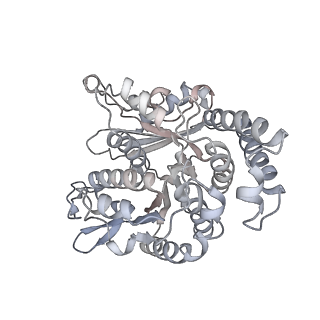 35823_8iyj_SB_v1-0
Cryo-EM structure of the 48-nm repeat doublet microtubule from mouse sperm
