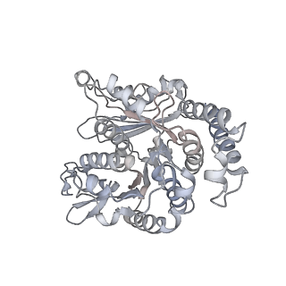 35823_8iyj_SF_v1-0
Cryo-EM structure of the 48-nm repeat doublet microtubule from mouse sperm
