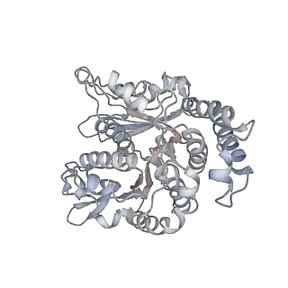35823_8iyj_SL_v1-0
Cryo-EM structure of the 48-nm repeat doublet microtubule from mouse sperm