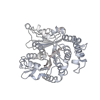 35823_8iyj_SN_v1-0
Cryo-EM structure of the 48-nm repeat doublet microtubule from mouse sperm