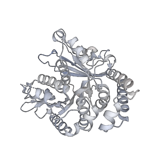 35823_8iyj_TA_v1-0
Cryo-EM structure of the 48-nm repeat doublet microtubule from mouse sperm