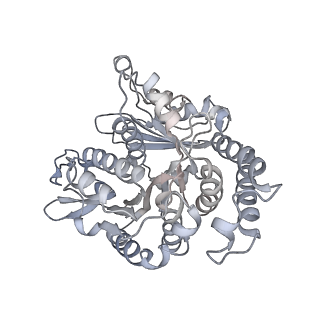 35823_8iyj_TB_v1-0
Cryo-EM structure of the 48-nm repeat doublet microtubule from mouse sperm