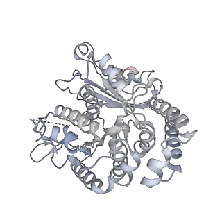 35823_8iyj_TC_v1-0
Cryo-EM structure of the 48-nm repeat doublet microtubule from mouse sperm