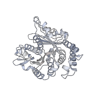 35823_8iyj_TD_v1-0
Cryo-EM structure of the 48-nm repeat doublet microtubule from mouse sperm