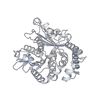 35823_8iyj_TE_v1-0
Cryo-EM structure of the 48-nm repeat doublet microtubule from mouse sperm