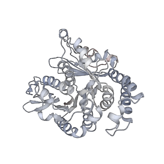 35823_8iyj_TF_v1-0
Cryo-EM structure of the 48-nm repeat doublet microtubule from mouse sperm