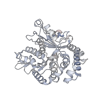 35823_8iyj_TG_v1-0
Cryo-EM structure of the 48-nm repeat doublet microtubule from mouse sperm