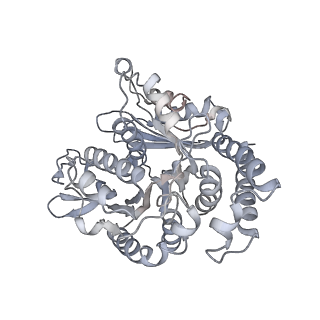 35823_8iyj_TH_v1-0
Cryo-EM structure of the 48-nm repeat doublet microtubule from mouse sperm