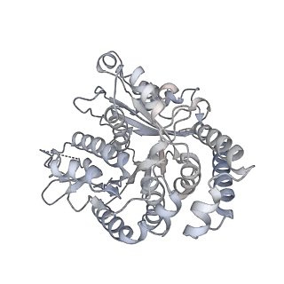 35823_8iyj_TI_v1-0
Cryo-EM structure of the 48-nm repeat doublet microtubule from mouse sperm