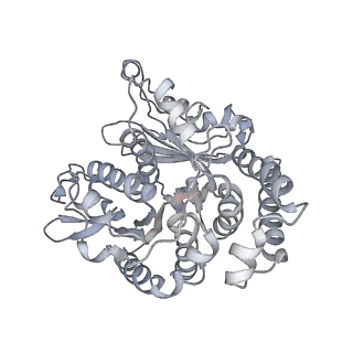 35823_8iyj_TJ_v1-0
Cryo-EM structure of the 48-nm repeat doublet microtubule from mouse sperm