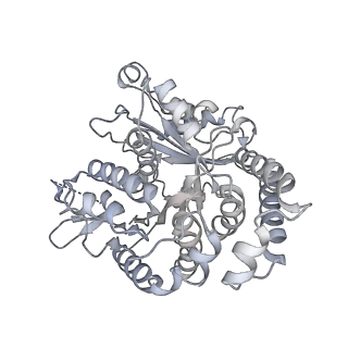 35823_8iyj_TK_v1-0
Cryo-EM structure of the 48-nm repeat doublet microtubule from mouse sperm