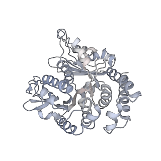 35823_8iyj_TL_v1-0
Cryo-EM structure of the 48-nm repeat doublet microtubule from mouse sperm