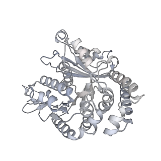 35823_8iyj_TM_v1-0
Cryo-EM structure of the 48-nm repeat doublet microtubule from mouse sperm
