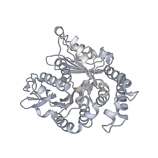 35823_8iyj_TN_v1-0
Cryo-EM structure of the 48-nm repeat doublet microtubule from mouse sperm
