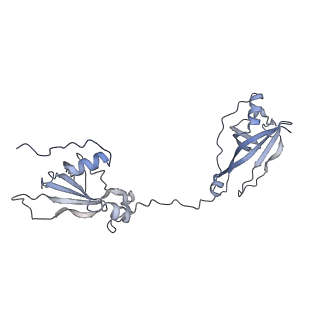35823_8iyj_T_v1-0
Cryo-EM structure of the 48-nm repeat doublet microtubule from mouse sperm