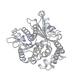 35823_8iyj_UA_v1-0
Cryo-EM structure of the 48-nm repeat doublet microtubule from mouse sperm