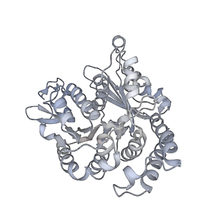 35823_8iyj_UB_v1-0
Cryo-EM structure of the 48-nm repeat doublet microtubule from mouse sperm