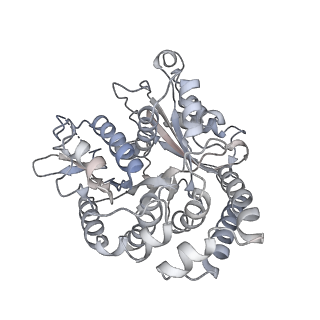 35823_8iyj_UC_v1-0
Cryo-EM structure of the 48-nm repeat doublet microtubule from mouse sperm