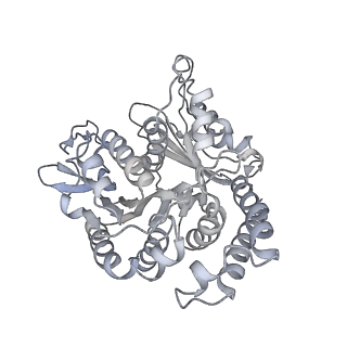 35823_8iyj_UF_v1-0
Cryo-EM structure of the 48-nm repeat doublet microtubule from mouse sperm