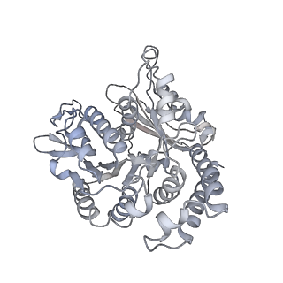 35823_8iyj_UH_v1-0
Cryo-EM structure of the 48-nm repeat doublet microtubule from mouse sperm