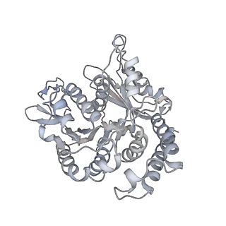 35823_8iyj_UJ_v1-0
Cryo-EM structure of the 48-nm repeat doublet microtubule from mouse sperm