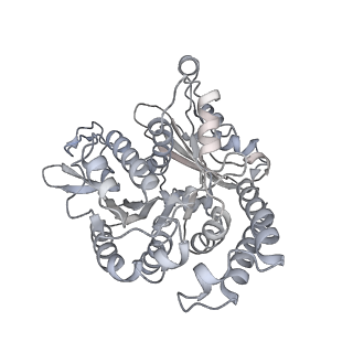 35823_8iyj_UL_v1-0
Cryo-EM structure of the 48-nm repeat doublet microtubule from mouse sperm