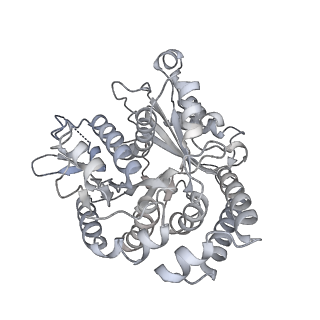 35823_8iyj_UM_v1-0
Cryo-EM structure of the 48-nm repeat doublet microtubule from mouse sperm