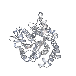 35823_8iyj_UN_v1-0
Cryo-EM structure of the 48-nm repeat doublet microtubule from mouse sperm