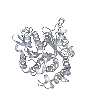 35823_8iyj_VB_v1-0
Cryo-EM structure of the 48-nm repeat doublet microtubule from mouse sperm