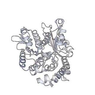 35823_8iyj_VC_v1-0
Cryo-EM structure of the 48-nm repeat doublet microtubule from mouse sperm