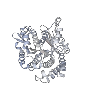 35823_8iyj_VD_v1-0
Cryo-EM structure of the 48-nm repeat doublet microtubule from mouse sperm