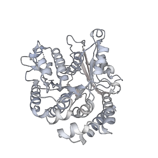 35823_8iyj_VE_v1-0
Cryo-EM structure of the 48-nm repeat doublet microtubule from mouse sperm
