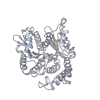 35823_8iyj_VF_v1-0
Cryo-EM structure of the 48-nm repeat doublet microtubule from mouse sperm