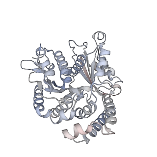35823_8iyj_VG_v1-0
Cryo-EM structure of the 48-nm repeat doublet microtubule from mouse sperm
