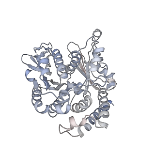 35823_8iyj_VH_v1-0
Cryo-EM structure of the 48-nm repeat doublet microtubule from mouse sperm