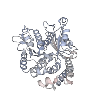 35823_8iyj_VI_v1-0
Cryo-EM structure of the 48-nm repeat doublet microtubule from mouse sperm