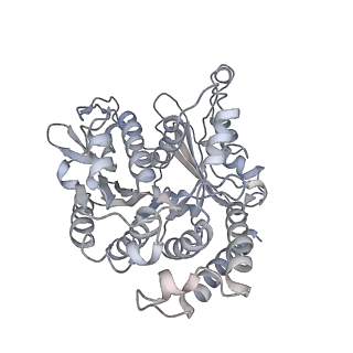 35823_8iyj_VJ_v1-0
Cryo-EM structure of the 48-nm repeat doublet microtubule from mouse sperm