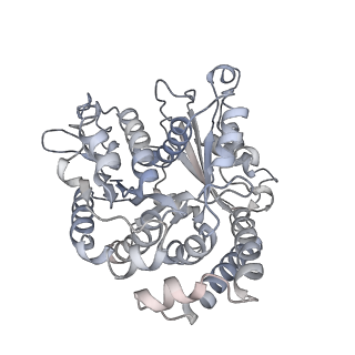 35823_8iyj_VK_v1-0
Cryo-EM structure of the 48-nm repeat doublet microtubule from mouse sperm