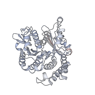 35823_8iyj_VL_v1-0
Cryo-EM structure of the 48-nm repeat doublet microtubule from mouse sperm